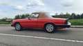 Alfa Romeo Spider 2.0 Aerodinamica SAMMLERZUSTAND Rot - thumbnail 34
