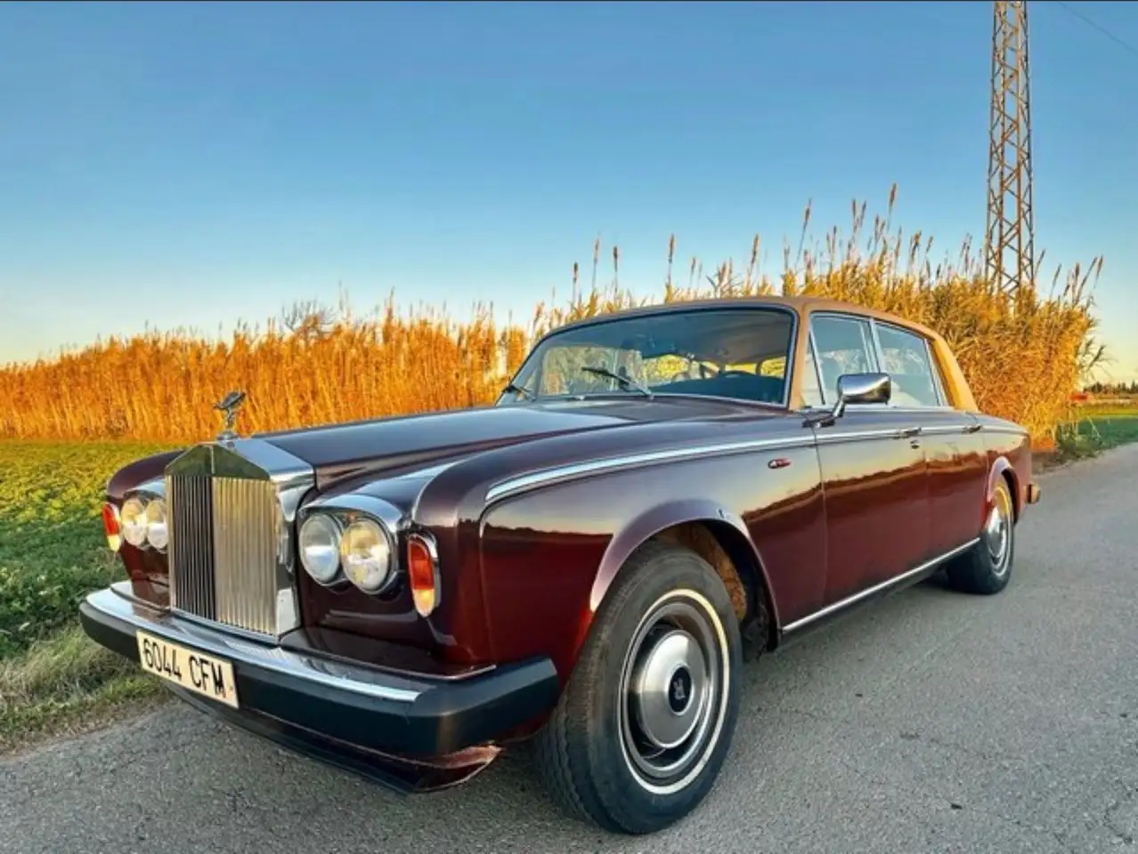 Rolls-Royce Silver Wraith, foto 5