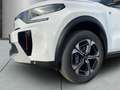 Citroen C3 Aircross MAX 11kw-Lader Winter-Paket Allwetter HeadUp-Displ Weiß - thumbnail 4