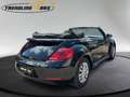 Volkswagen Beetle Cabrio 1,2 TSI *1.Besitz* Schwarz - thumbnail 5