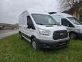 Ford Transit Bus Minibus 2,0 TDCi L2H3 350 Trend - thumbnail 1