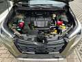 Subaru Forester Platinum Leder Verde - thumbnail 9