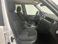 Land Rover Discovery 3.0 TDV6 211CV SE 7 POSTI Wit - thumbnail 3