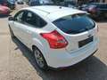 Ford Focus Focus Traveller Van Trend 1,6 TDCi Trend Weiß - thumbnail 5