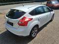 Ford Focus Focus Traveller Van Trend 1,6 TDCi Trend Weiß - thumbnail 4