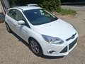 Ford Focus Focus Traveller Van Trend 1,6 TDCi Trend Weiß - thumbnail 3