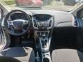 Ford Focus Focus Traveller Van Trend 1,6 TDCi Trend Weiß - thumbnail 8