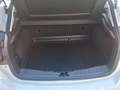 Ford Focus Focus Traveller Van Trend 1,6 TDCi Trend Weiß - thumbnail 10