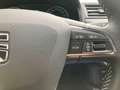 SEAT Ibiza Xcellence BEATS 1.0 TSI +SHZ+PDC+LED+NAVI+ Weiß - thumbnail 23