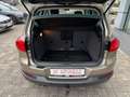 Volkswagen Tiguan 2.0 TDI Lounge Sport & Style*AHK*R-Kamera Beige - thumbnail 14