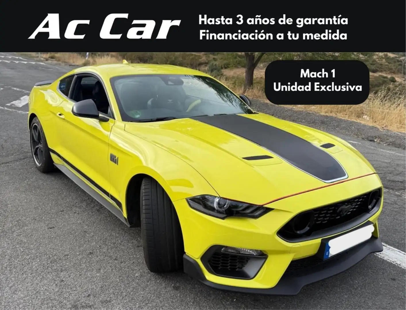 Ford Mustang 5.0 Ti-VCT V8 Mach I (Fastsb.) Jaune - 1