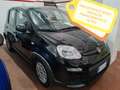 Fiat Panda 1.0 Hybrid  70cv Nero - thumbnail 1