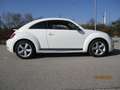 Volkswagen Beetle Lim. Sport Weiß - thumbnail 5