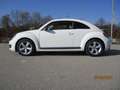 Volkswagen Beetle Lim. Sport Weiß - thumbnail 4