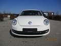 Volkswagen Beetle Lim. Sport Weiß - thumbnail 2