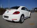 Volkswagen Beetle Lim. Sport Weiß - thumbnail 6