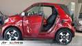 smart forTwo cabrio EQ Tempo Klima DAB Sitzheizung Rojo - thumbnail 10