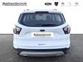 Ford Kuga Titanium 1,5 EcoBoost Weiß - thumbnail 21
