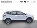 Ford Kuga Titanium 1,5 EcoBoost Weiß - thumbnail 3