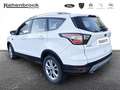 Ford Kuga Titanium 1,5 EcoBoost Weiß - thumbnail 4