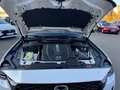 Mazda CX-60 2.5L e-Skyactiv PHEV CX-60 e-SKYACTIV PHEV HOMURA Weiß - thumbnail 10