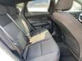 Hyundai KONA 1.6 T-GDI DCT 4WD N Line (SX2) Weiß - thumbnail 13