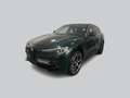 Alfa Romeo Stelvio Stelvio 2020 2.2 t Ti Q4 190cv auto Verde - thumbnail 1
