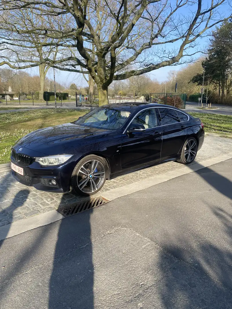 BMW 420 BMW 420D M Pakket Full Optie - 2