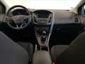 Ford Focus 1.5 TDCi 95 CV Start&Stop Plus Blu/Azzurro - thumbnail 13