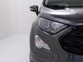Ford EcoSport - EcoSport 1.0 ecoboost ST-Line Design s&s 125cv Grigio - thumbnail 5