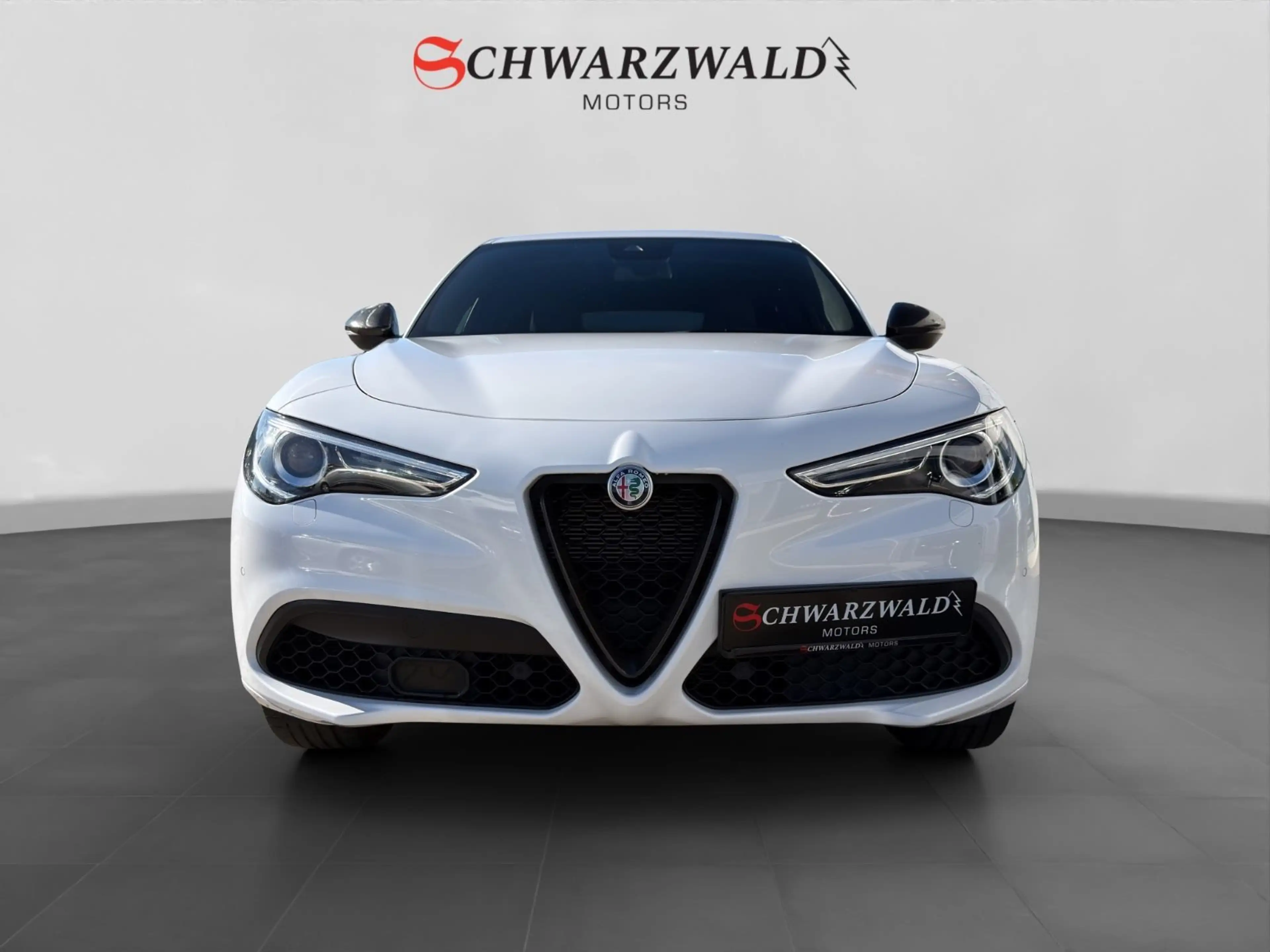 Alfa Romeo Stelvio Estrema Q4 Carbon CarPlay Kamera ACC LED — photo 8