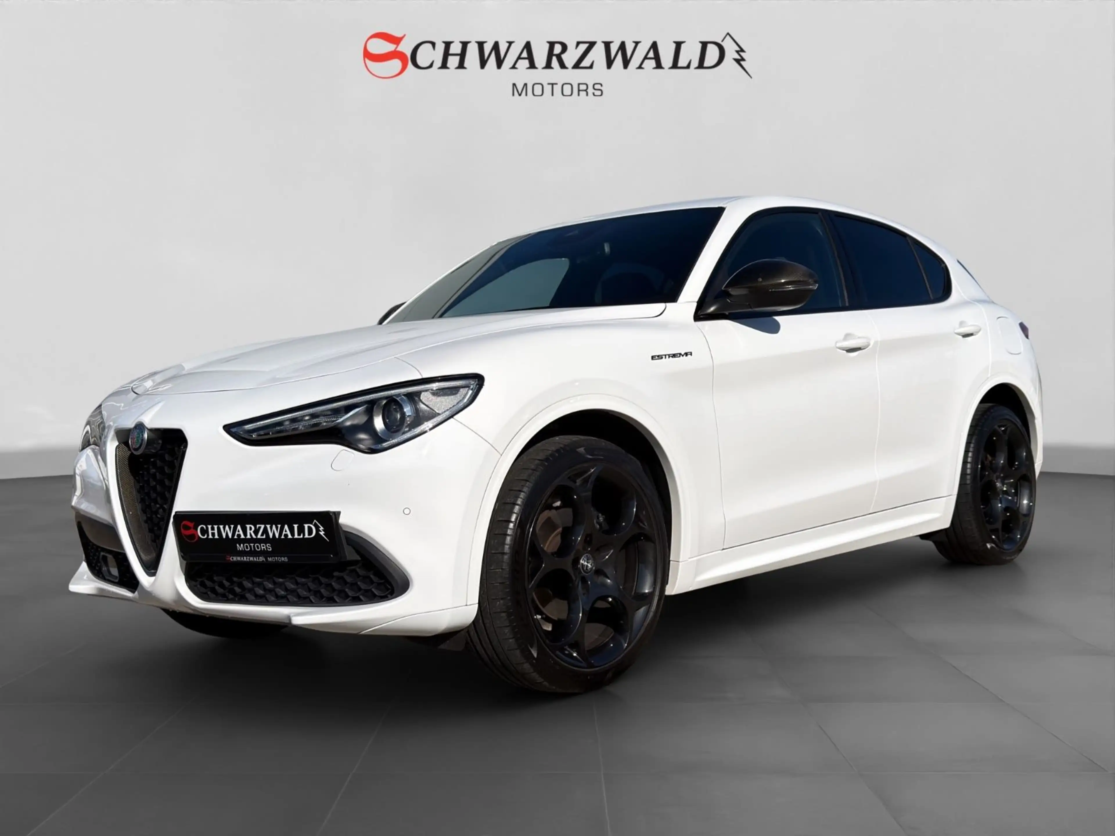 Alfa Romeo Stelvio Estrema Q4 Carbon CarPlay Kamera ACC LED