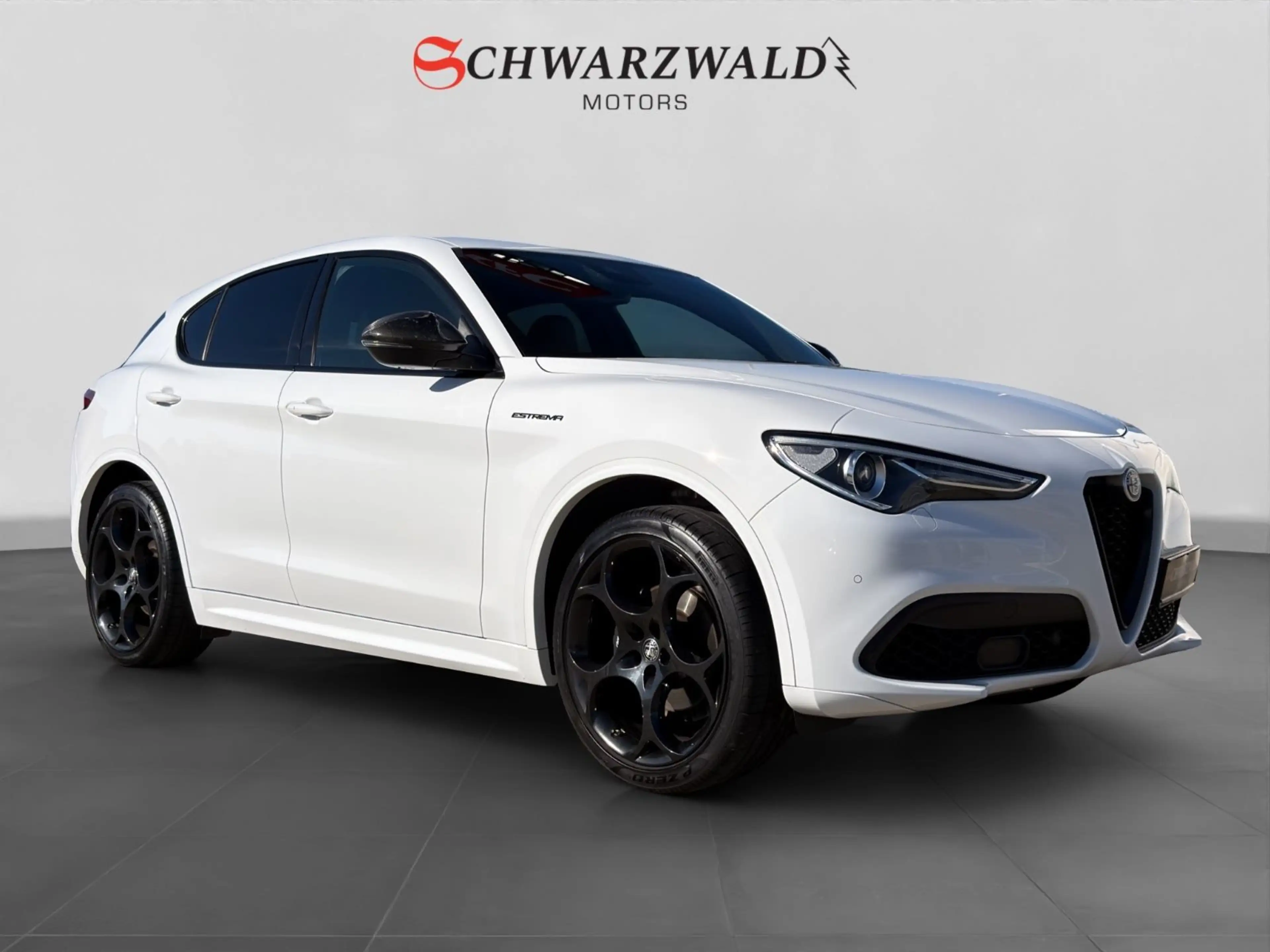 Alfa Romeo Stelvio Estrema Q4 Carbon CarPlay Kamera ACC LED — photo 7