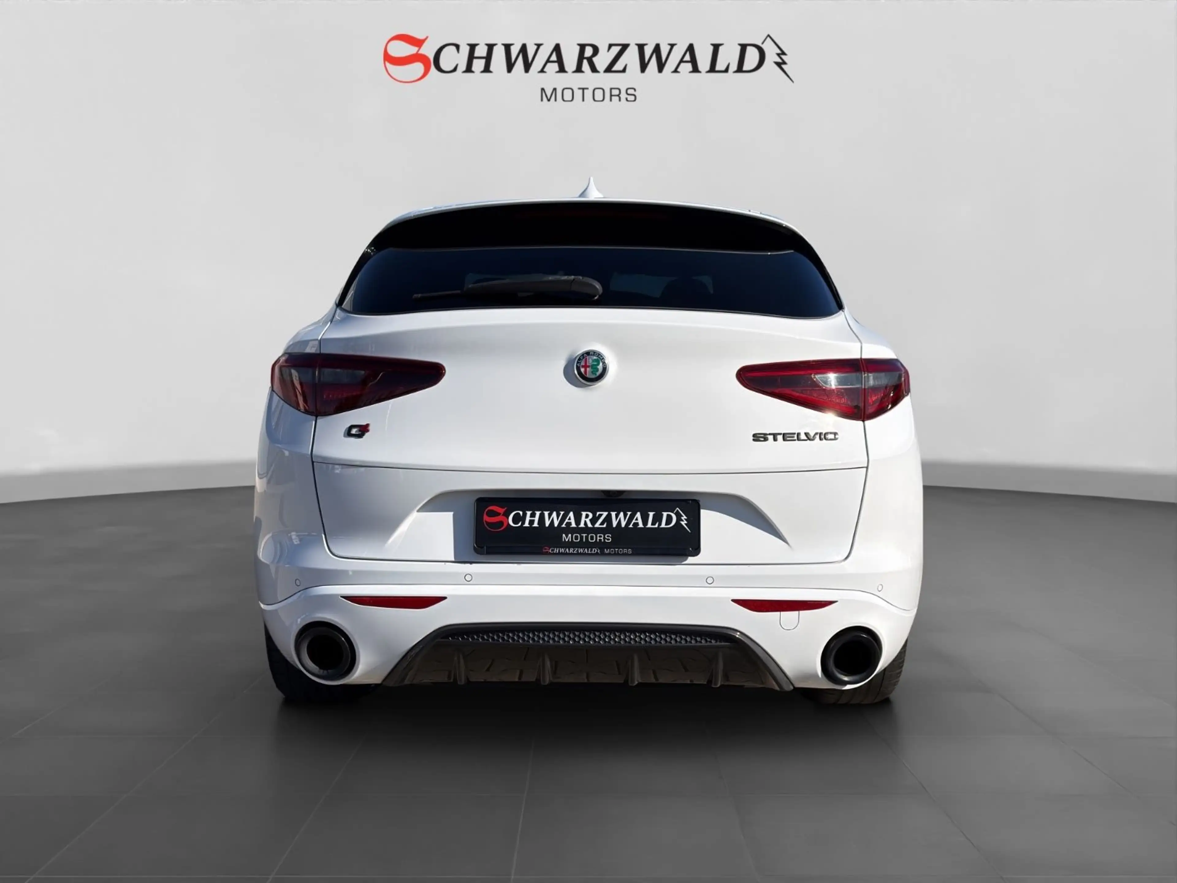 Alfa Romeo Stelvio Estrema Q4 Carbon CarPlay Kamera ACC LED — photo 4