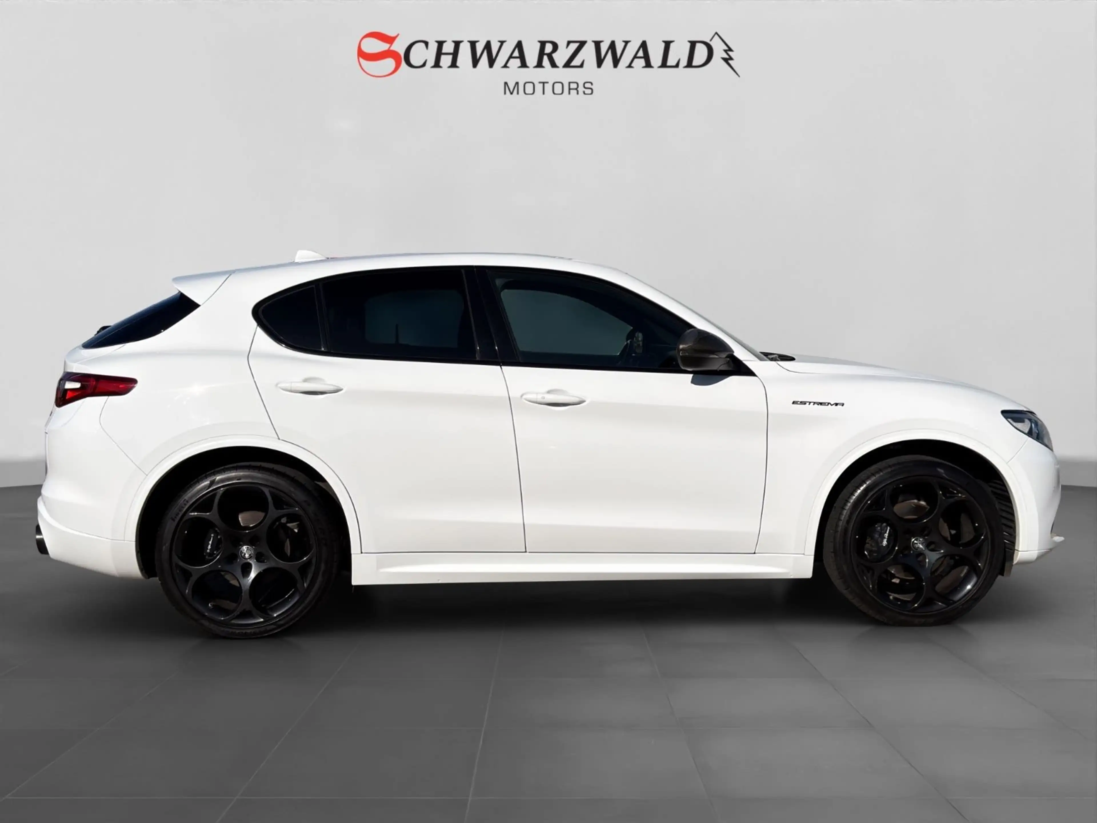 Alfa Romeo Stelvio Estrema Q4 Carbon CarPlay Kamera ACC LED — photo 6