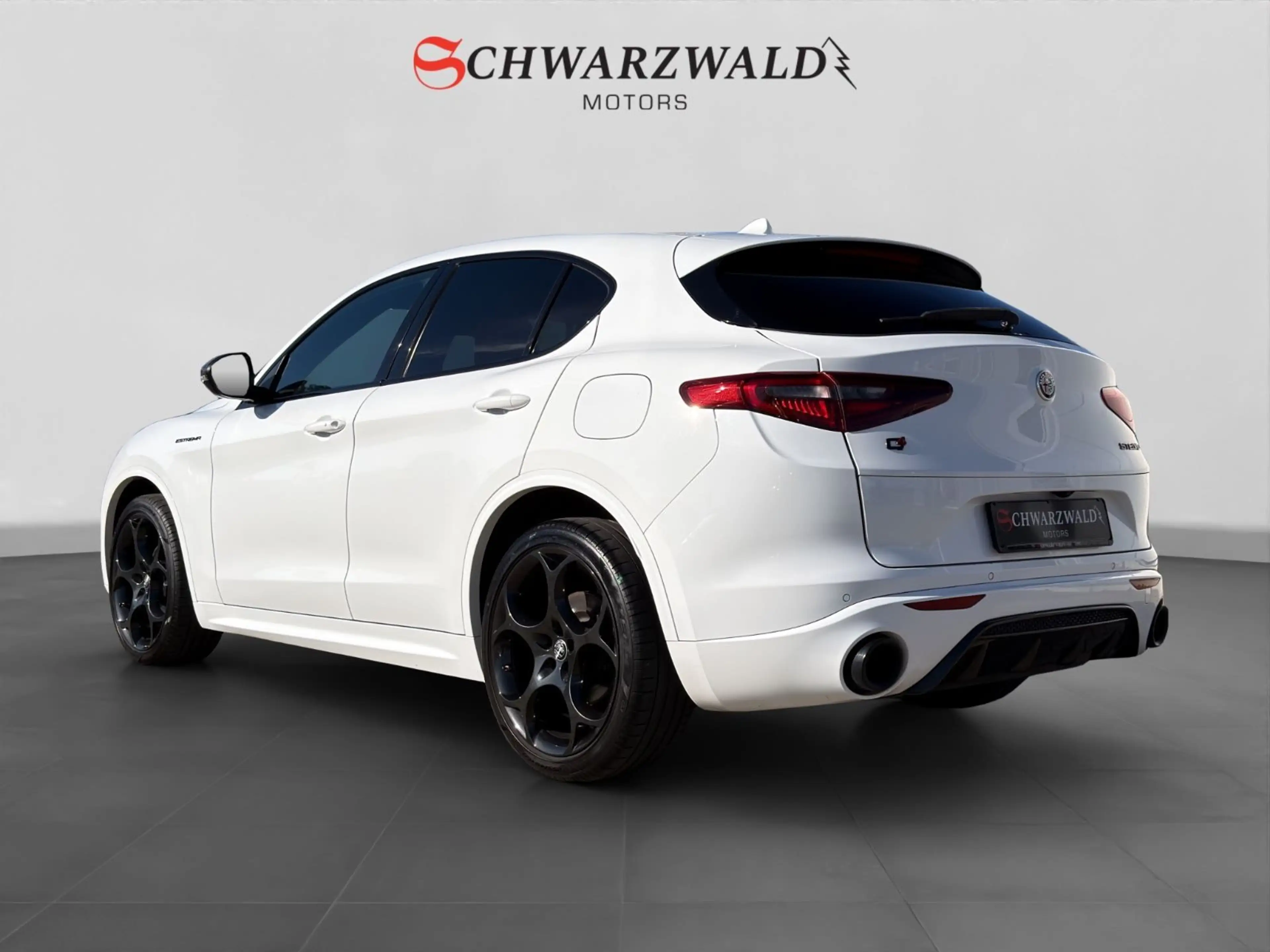Alfa Romeo Stelvio Estrema Q4 Carbon CarPlay Kamera ACC LED — photo 3