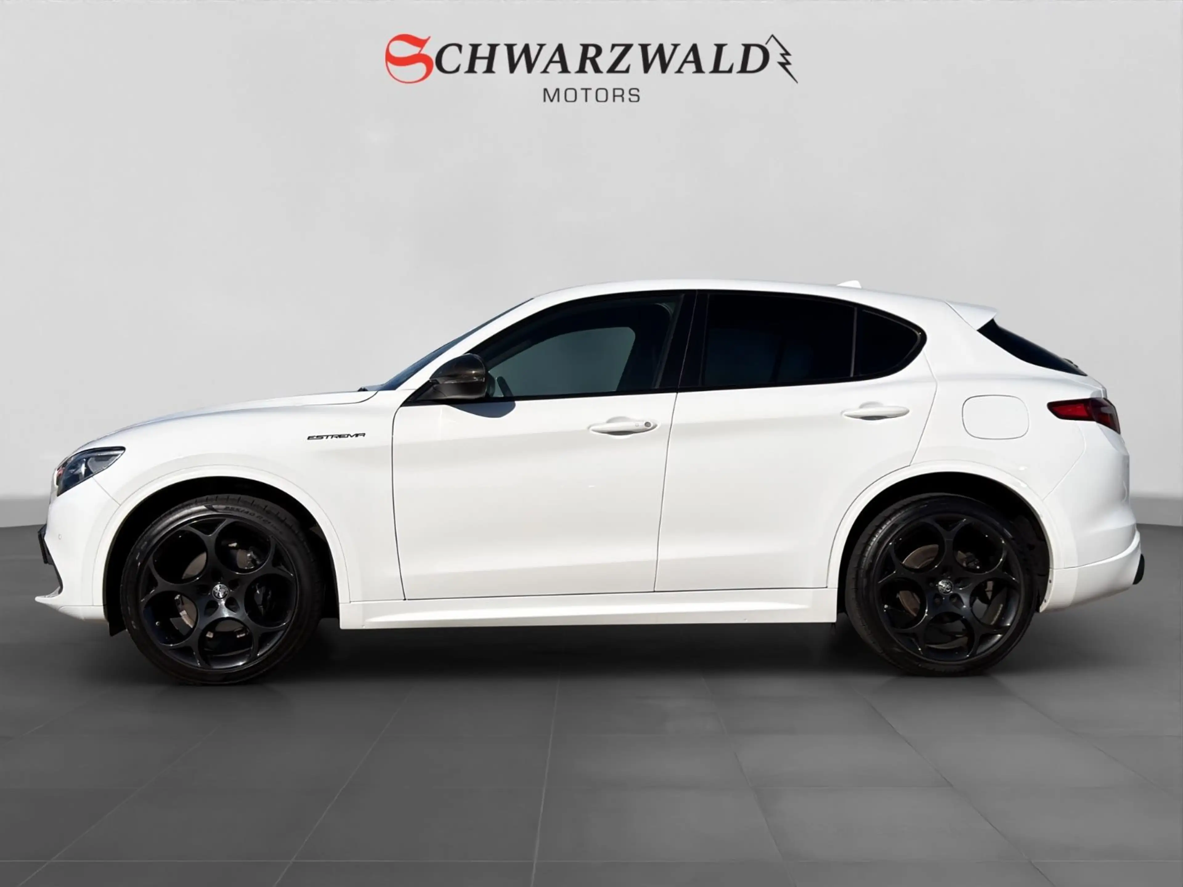 Alfa Romeo Stelvio Estrema Q4 Carbon CarPlay Kamera ACC LED — photo 2