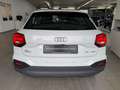 Audi Q2 30*TFSI*Navi*Sitzh*Kamera*LED*ACC* Blanc - thumbnail 15