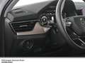 Skoda Kamiq Style TSI DSG LED Pano AHK Navi Keyless Weiß - thumbnail 9