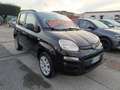 Fiat Panda 0.9 t.air t. natural power Lounge 80cv - thumbnail 15