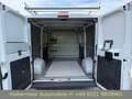 Fiat Ducato Maxi Kasten L2H1 |SCHIEBETÜR BEIDSEITIG| Blanc - thumbnail 9