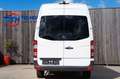 Mercedes-Benz Sprinter 311 CDi Rollstuhl Flexi-Trans 80KW Eur4 Blanc - thumbnail 8