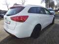 Kia Ceed SW / cee'd SW cee'd 1.4 Sportswagon Dream-Team *SHZ*BT* Alb - thumbnail 5