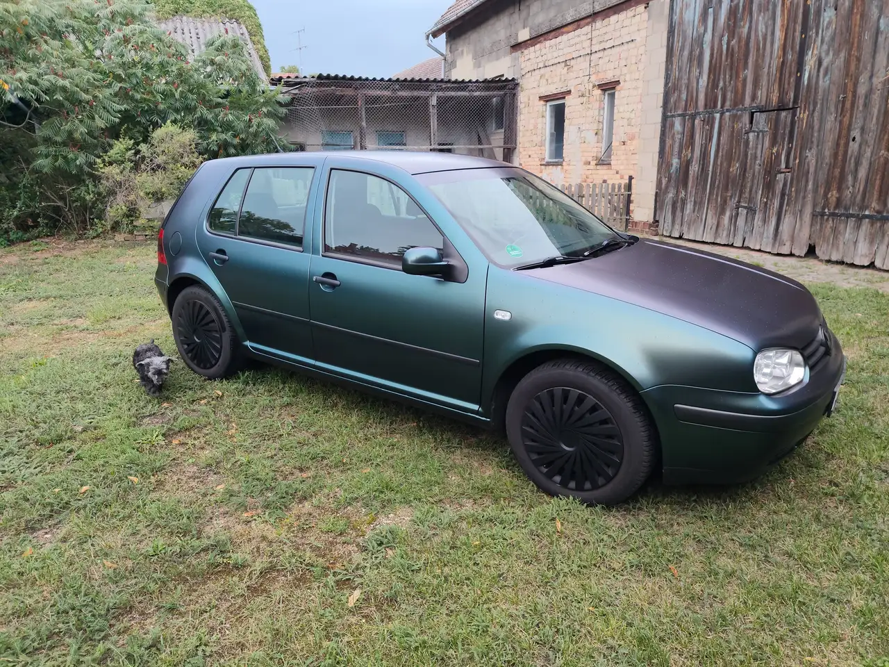 Volkswagen Golf 1.6 Edition , Preis VB, foto 2