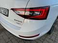Skoda Superb Combi L&K 4x4/Pano/Kamera/ACC Weiß - thumbnail 11