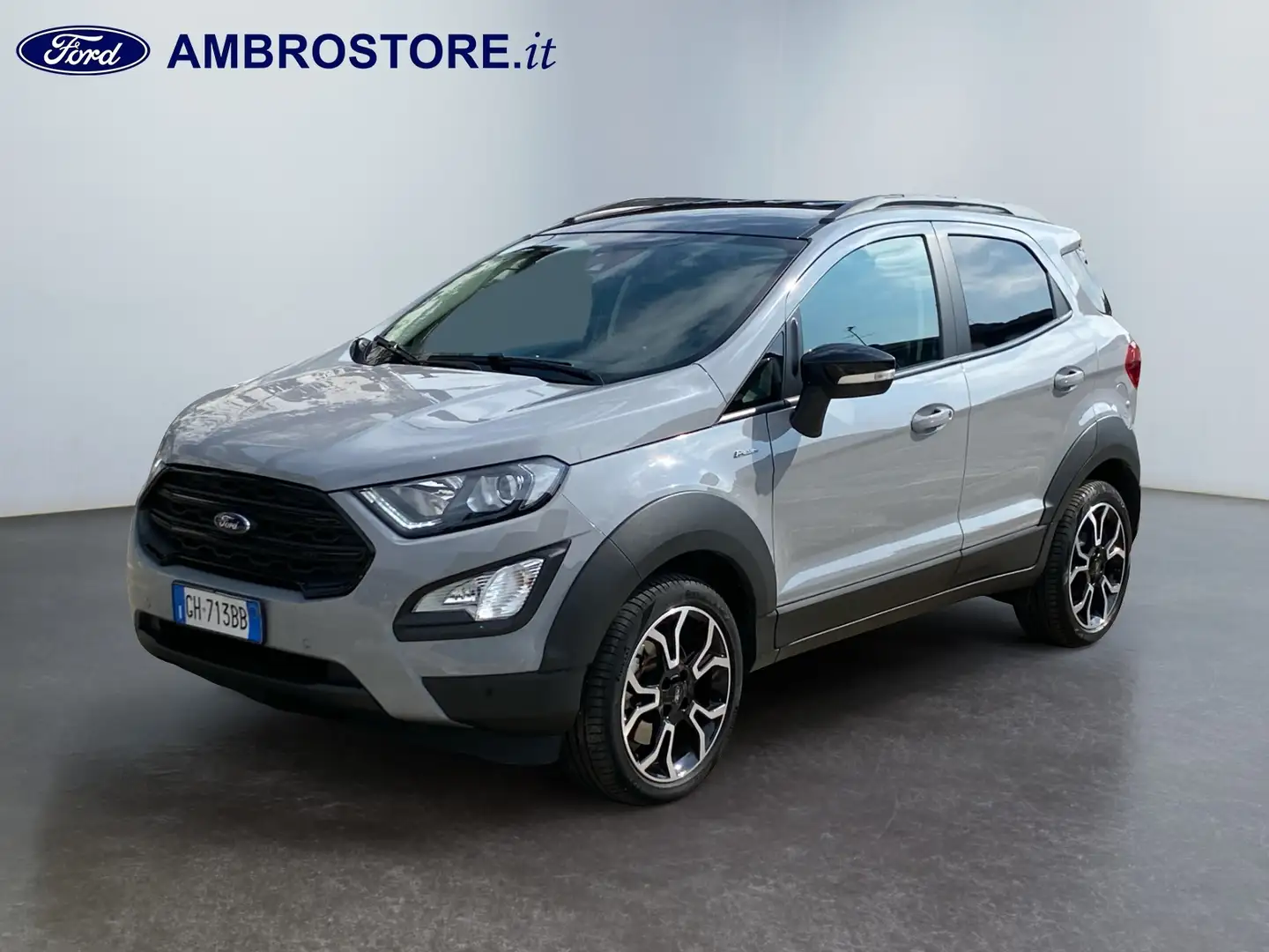 Ford EcoSport - EcoSport 1.0 EcoBoost 125 CV Active Grigio - 1