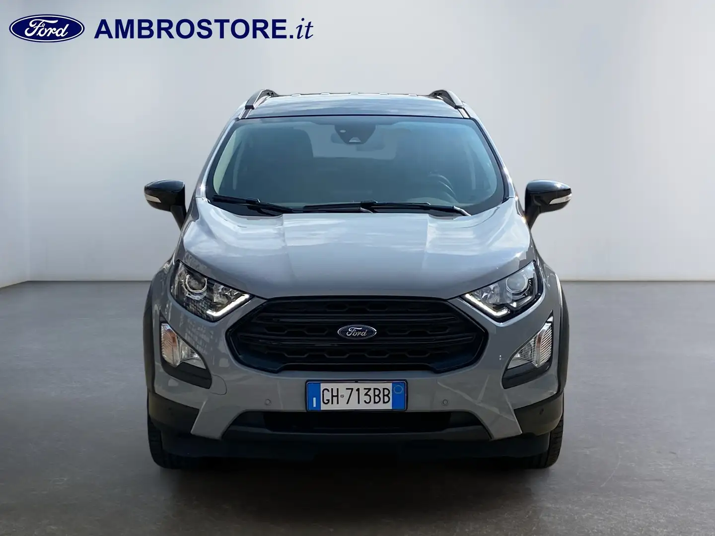 Ford EcoSport - EcoSport 1.0 EcoBoost 125 CV Active Grigio - 2