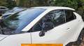 Toyota C-HR 2.0 Plug-in Hybrid Teamplayer + Technekpakket Wit - thumbnail 11