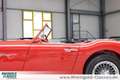 Austin-Healey 3000 BT7 2+2 außergewöhnlicher Zustand Rouge - thumbnail 29