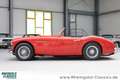 Austin-Healey 3000 BT7 2+2 außergewöhnlicher Zustand Rouge - thumbnail 6